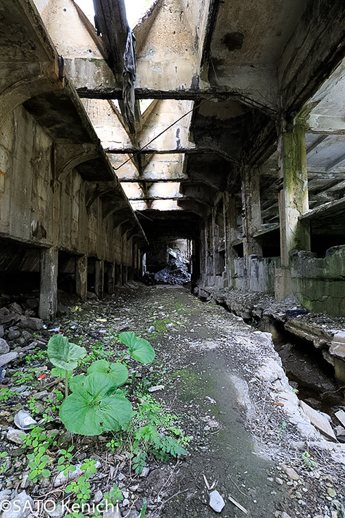 サハリン旧王子製紙工場廃墟群 国境観光 極東ステージ ボーダーツーリズム